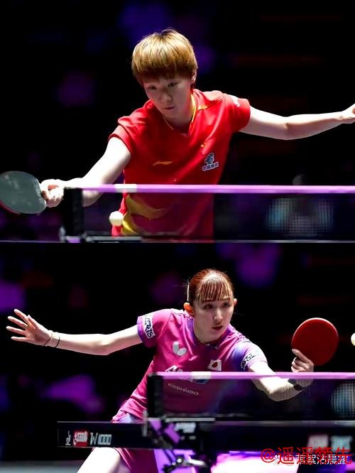 法兰克福冠军赛马龙进决赛 王曼昱带伤赢早田希娜