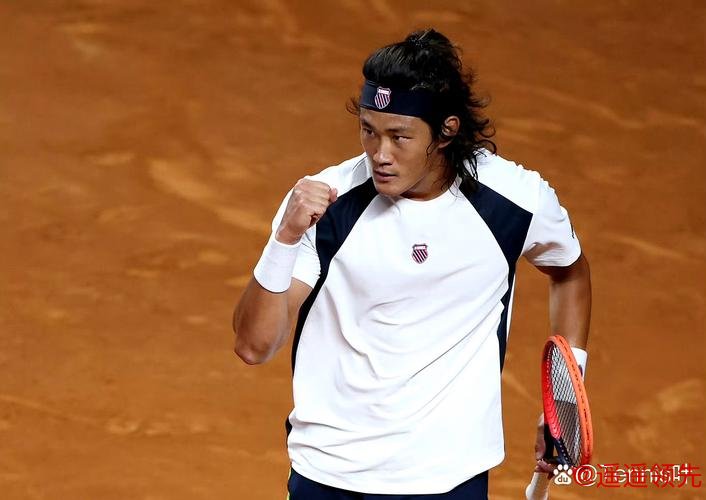 法网-张之臻3-1淘汰武基奇开门红 次轮将战索内戈