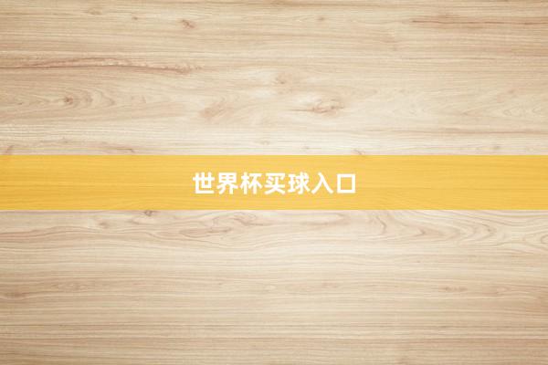 世界杯买球入口