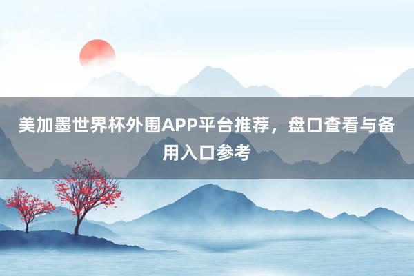美加墨世界杯外围APP平台推荐，盘口查看与备用入口参考