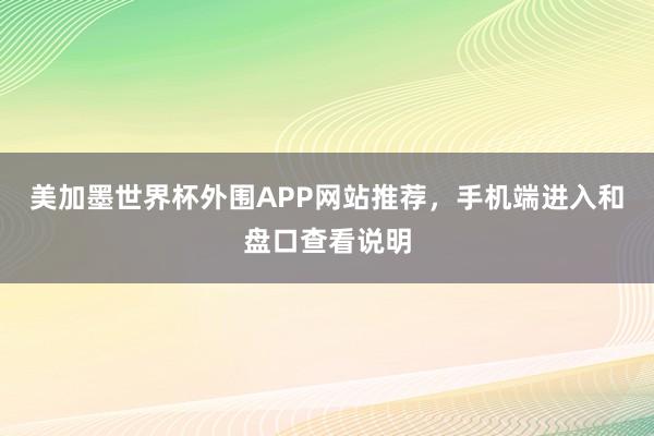 美加墨世界杯外围APP网站推荐，手机端进入和盘口查看说明
